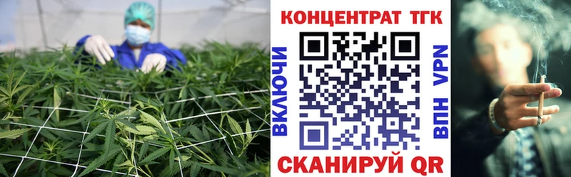 Дистиллят ТГК Wax  Княгинино 
