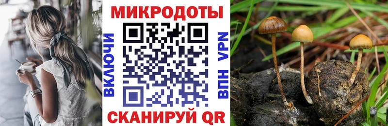Псилоцибиновые грибы GOLDEN TEACHER  Княгинино 